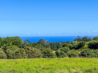 Beach Lot For Sale in Hakalau, Hawaii