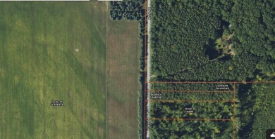 Beach Lot For Sale in Ossineke, Michigan