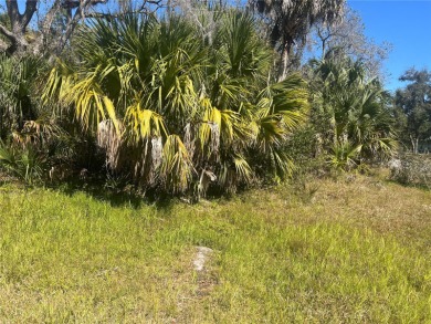 Beach Lot For Sale in Port Charlotte, Florida