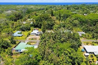 Beach Lot For Sale in Pahoa, Hawaii
