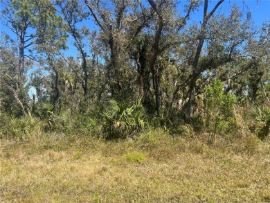 Beach Lot For Sale in Port Charlotte, Florida