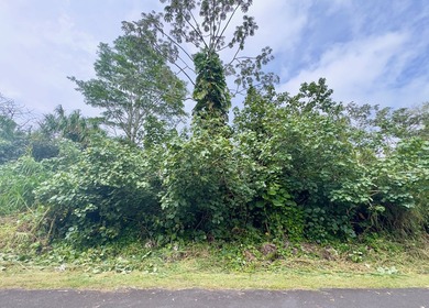 Beach Lot For Sale in Pahoa, Hawaii
