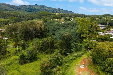 Beach Acreage For Sale in Koloa, Hawaii