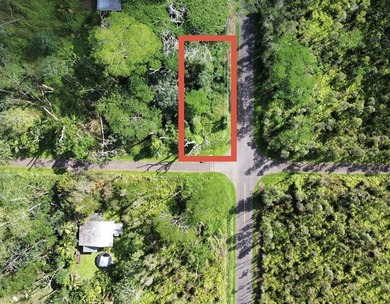 Beach Lot For Sale in Pahoa, Hawaii