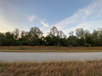 Beach Lot For Sale in North Port, Florida
