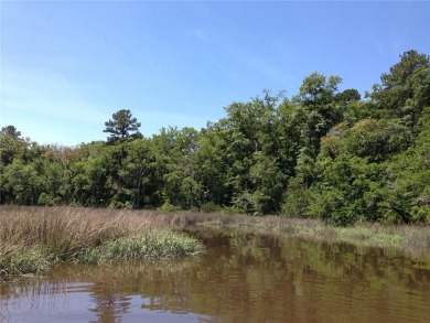 Beach Lot For Sale in Waverly, Georgia