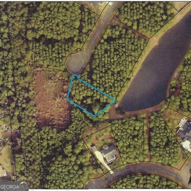 Beach Lot For Sale in Saint Marys, Georgia