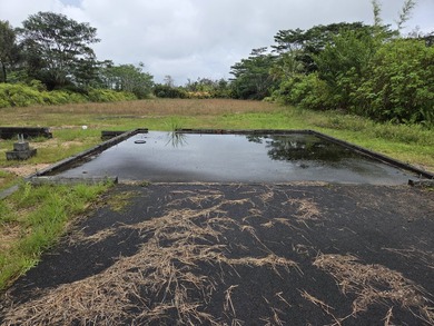 Beach Lot For Sale in Pahoa, Hawaii