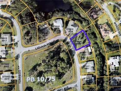 Beach Lot For Sale in North Port, Florida
