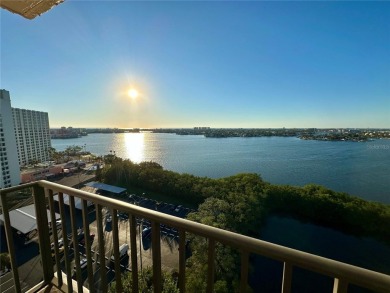 Beach Condo For Sale in South Pasadena, Florida