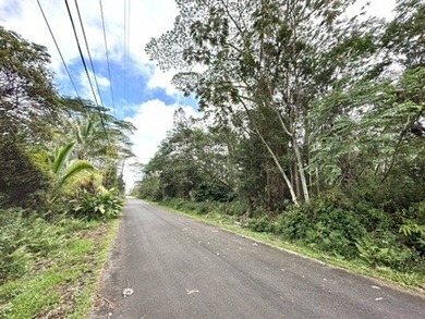 Beach Lot For Sale in Pahoa, Hawaii