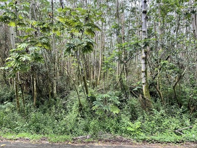 Beach Lot For Sale in Pahoa, Hawaii