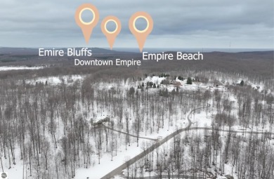 Beach Lot For Sale in Empire, Michigan