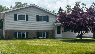 Beach Home For Sale in Sheffield Lake, Ohio