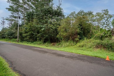 Beach Lot For Sale in Pahoa, Hawaii