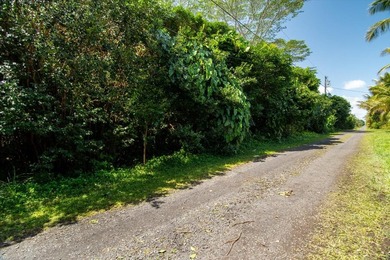 Beach Lot For Sale in Keaau, Hawaii