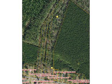 Beach Acreage For Sale in Belhaven, North Carolina