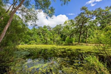 Beach Acreage For Sale in Johns Island, South Carolina