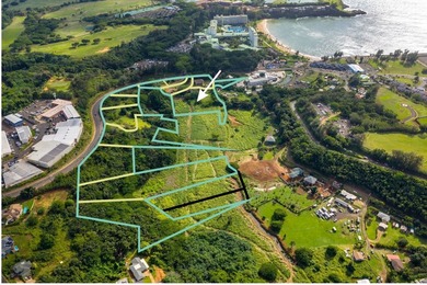 Beach Acreage For Sale in Lihue, Hawaii