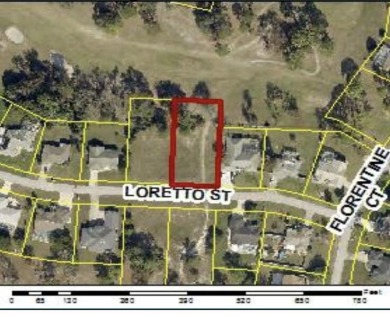 Beach Lot For Sale in Spring Hill, Florida