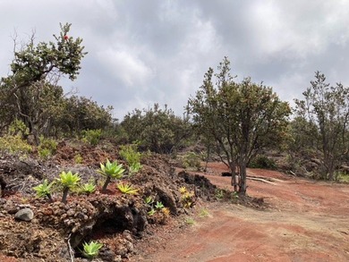 Beach Acreage For Sale in Ocean View, Hawaii