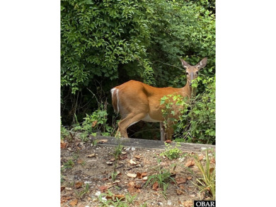 Beach Lot For Sale in Kill Devil Hills, North Carolina