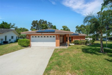 Beach Home For Sale in Palm Harbor, Florida