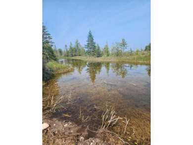 Beach Lot For Sale in Alpena, Michigan