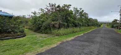 Beach Lot Active Under Contract in Naalehu, Hawaii