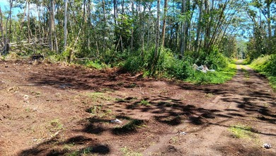 Beach Lot For Sale in Pahoa, Hawaii