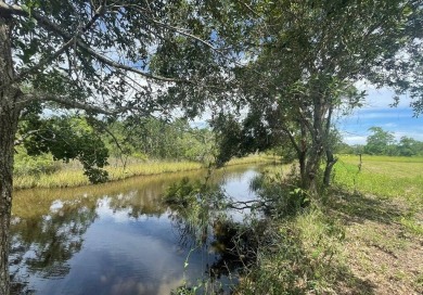 Beach Lot For Sale in Ocean Springs, Mississippi