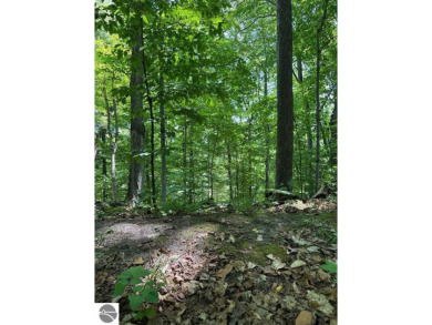 Beach Lot For Sale in Kewadin, Michigan