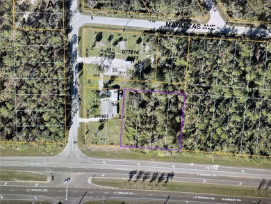 Beach Lot For Sale in North Port, Florida