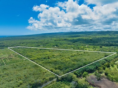 Beach Acreage For Sale in Pahoa, Hawaii