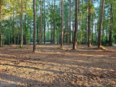 Beach Acreage For Sale in Bath, North Carolina