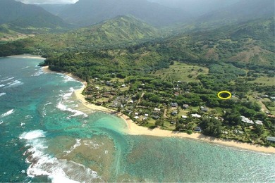 Beach Lot For Sale in Hanalei, Hawaii