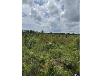 Beach Lot For Sale in New Hope, North Carolina