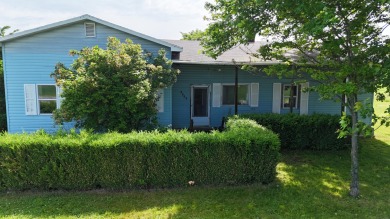 Beach Home For Sale in Free Soil, Michigan