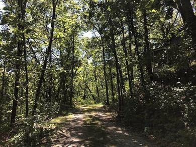 Beach Acreage For Sale in Beverly Shores, Indiana