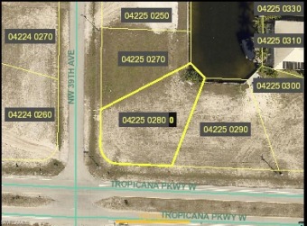 Beach Lot Off Market in Cape Coral, Florida