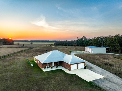 Beach Home For Sale in Elberta, Alabama