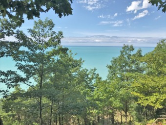 PENDING - 200 ft of Private Lake Michigan Frontage - Beach Lot for sale in Ludington, Michigan on Beachhouse.com