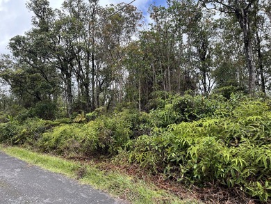 Beach Acreage For Sale in Volcano, Hawaii
