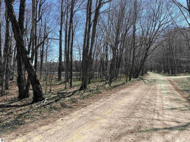 Beach Acreage For Sale in Beaver Island, Michigan