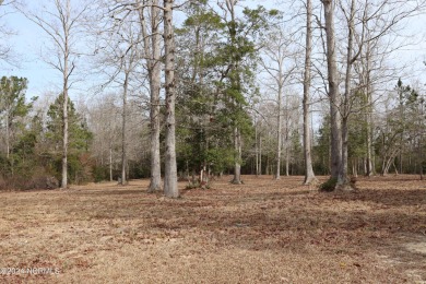 Beach Acreage For Sale in Supply, North Carolina