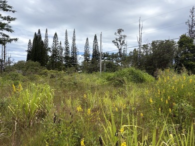 Beach Acreage For Sale in Kurtistown, Hawaii
