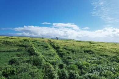 Beach Acreage For Sale in Naalehu, Hawaii