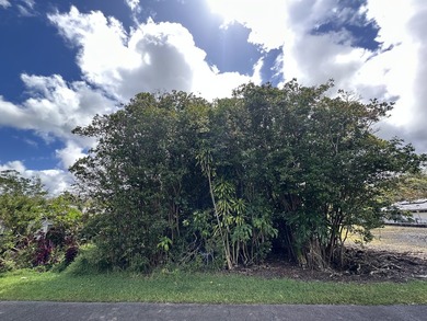 Beach Lot For Sale in Hilo, Hawaii