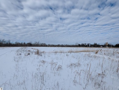 Beach Acreage For Sale in Au Gres, Michigan