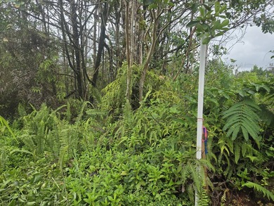 Beach Lot For Sale in Kurtistown, Hawaii
